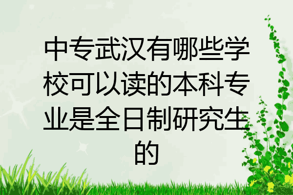 中专武汉有哪些学校可以读的本科专业是全日制研究生的