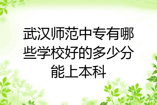 武汉师范中专有哪些学校好的多少分能上本科