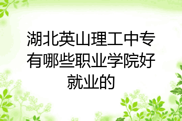 湖北英山理工中专有哪些职业学院好就业的