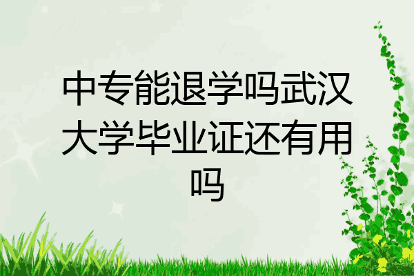 中专能退学吗武汉大学毕业证还有用吗