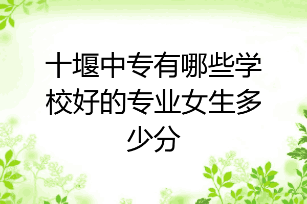 十堰中专有哪些学校好的专业女生多少分