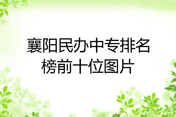 襄阳民办中专排名榜前十位图片