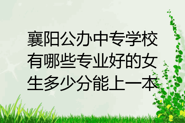 襄阳公办中专学校有哪些专业好的女生多少分能上一本