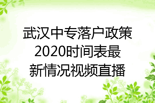 武汉中专落户政策2020时间表最新情况视频直播