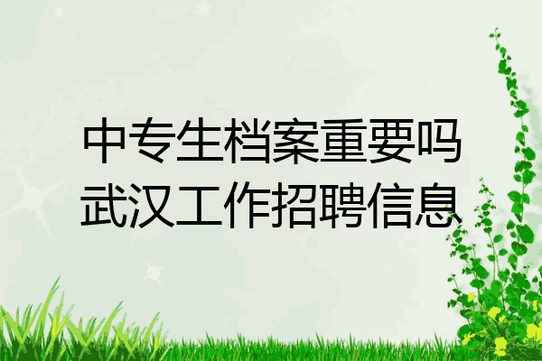 中专生档案重要吗武汉工作招聘信息