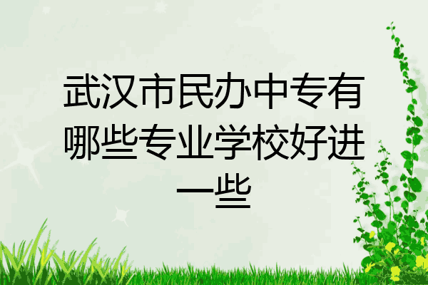 武汉市民办中专有哪些专业学校好进一些