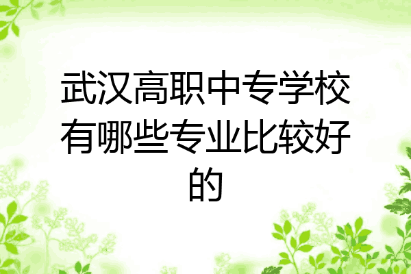 武汉高职中专学校有哪些专业比较好的