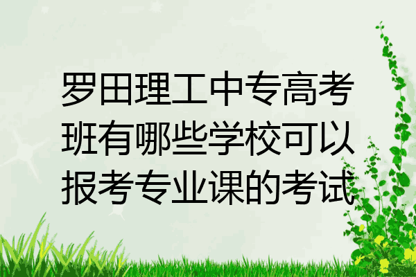 罗田理工中专高考班有哪些学校可以报考专业课的考试