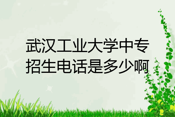 武汉工业大学中专招生电话是多少啊