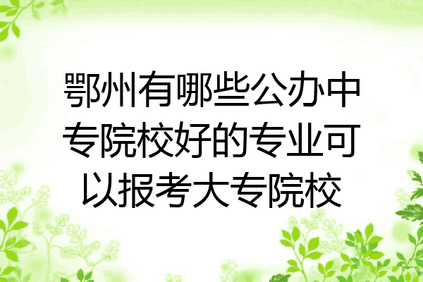 鄂州有哪些公办中专院校好的专业可以报考大专院校