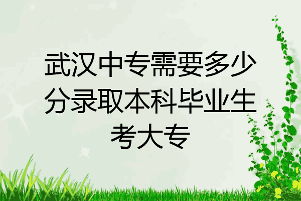 武汉中专需要多少分录取本科毕业生考大专