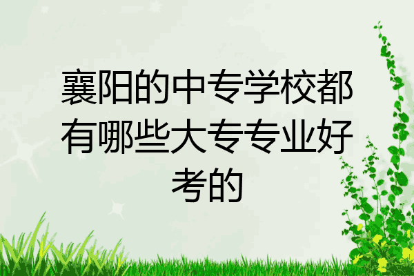 襄阳的中专学校都有哪些大专专业好考的