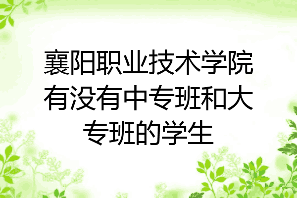 襄阳职业技术学院有没有中专班和大专班的学生