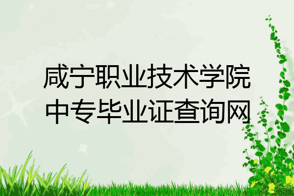 咸宁职业技术学院中专毕业证查询网