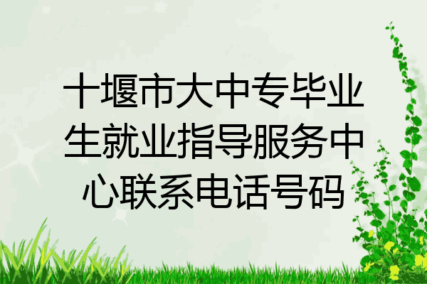 十堰市大中专毕业生就业指导服务中心联系电话号码