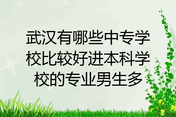 武汉有哪些中专学校比较好进本科学校的专业男生多