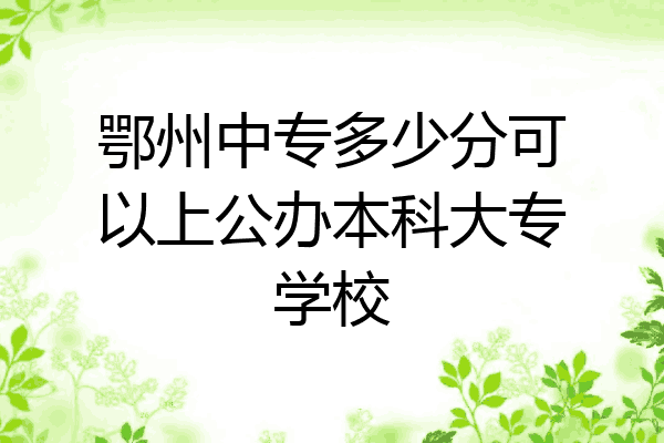 鄂州中专多少分可以上公办本科大专学校