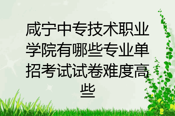 咸宁中专技术职业学院有哪些专业单招考试试卷难度高些