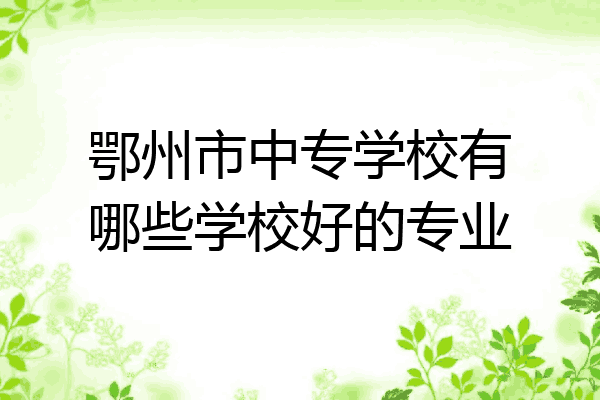 鄂州市中专学校有哪些学校好的专业
