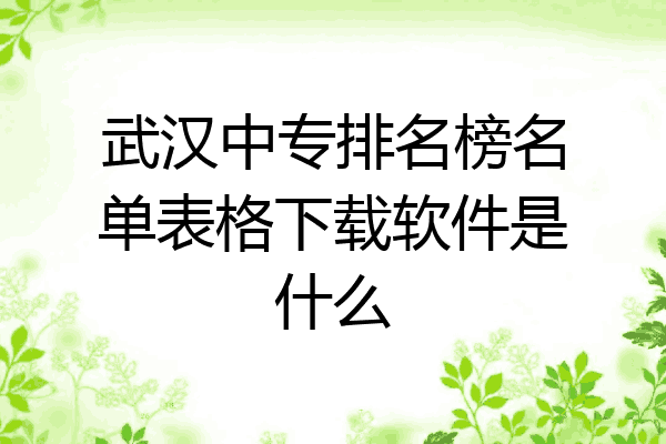 武汉中专排名榜名单表格下载软件是什么
