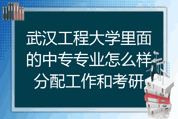 武汉工程大学里面的中专专业怎么样分配工作和考研