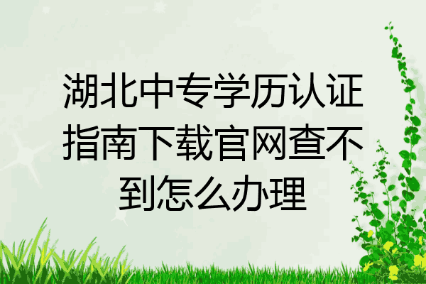湖北中专学历认证指南下载官网查不到怎么办理