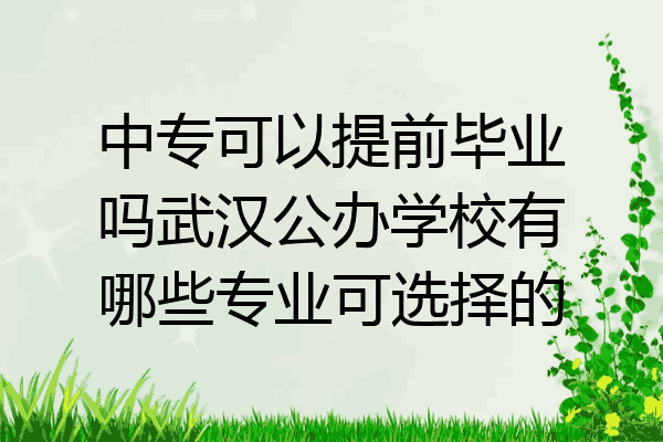 中专可以提前毕业吗武汉公办学校有哪些专业可选择的