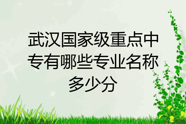 武汉国家级重点中专有哪些专业名称多少分