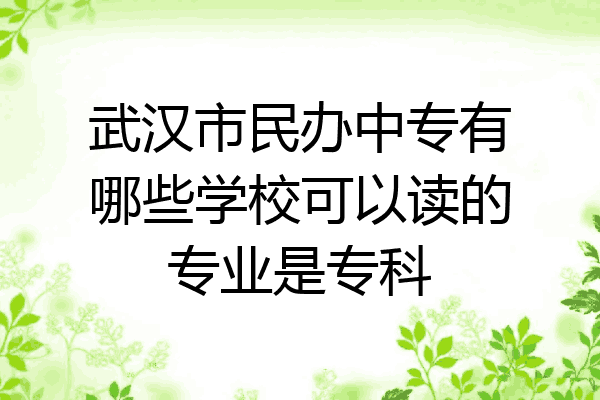 武汉市民办中专有哪些学校可以读的专业是专科