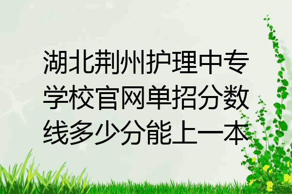 湖北荆州护理中专学校官网单招分数线多少分能上一本