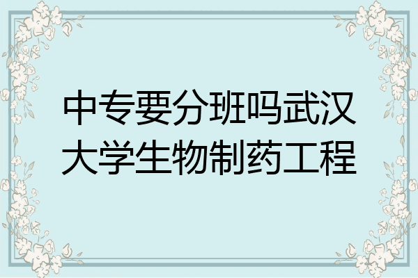中专要分班吗武汉大学生物制药工程