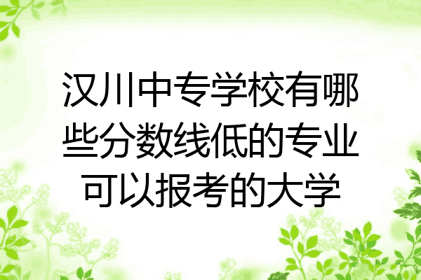 汉川中专学校有哪些分数线低的专业可以报考的大学