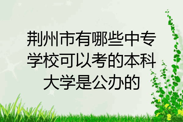 荆州市有哪些中专学校可以考的本科大学是公办的