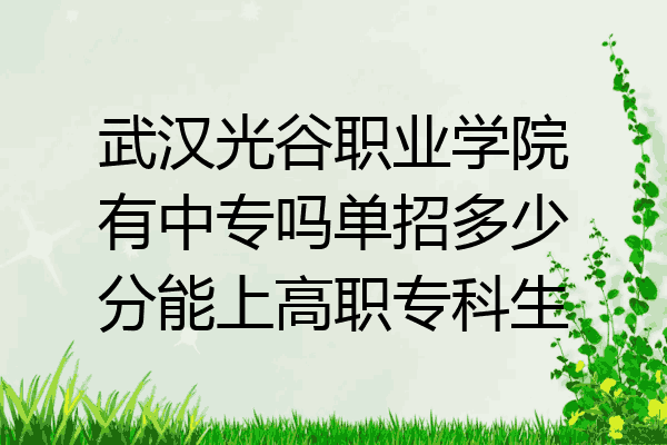 武汉光谷职业学院有中专吗单招多少分能上高职专科生