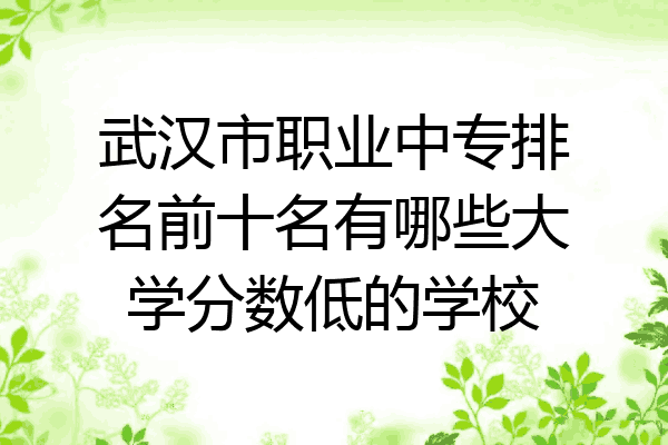 武汉市职业中专排名前十名有哪些大学分数低的学校