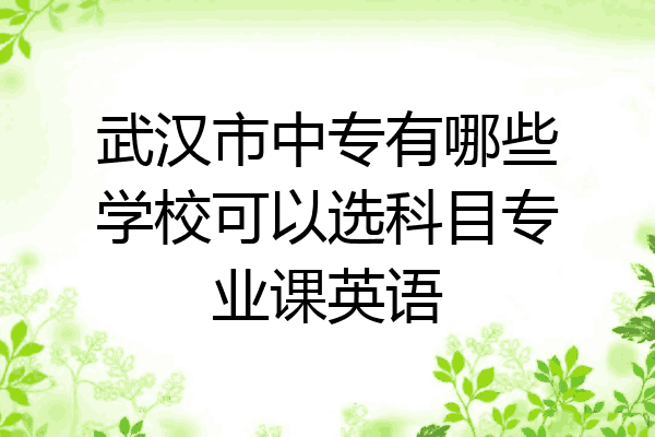 武汉市中专有哪些学校可以选科目专业课英语