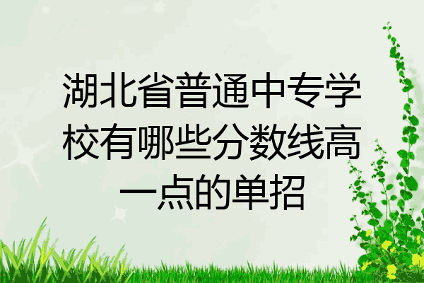 湖北省普通中专学校有哪些分数线高一点的单招