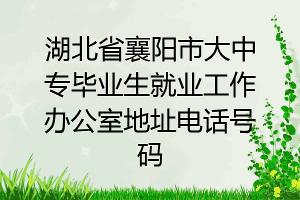 湖北省襄阳市大中专毕业生就业工作办公室地址电话号码