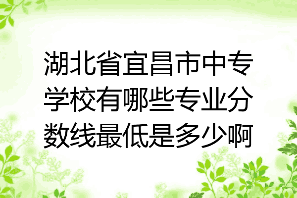 湖北省宜昌市中专学校有哪些专业分数线最低是多少啊