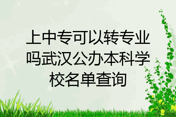 上中专可以转专业吗武汉公办本科学校名单查询