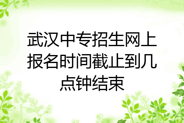 武汉中专招生网上报名时间截止到几点钟结束
