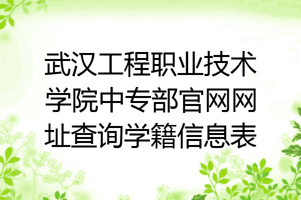 武汉工程职业技术学院中专部官网网址查询学籍信息表