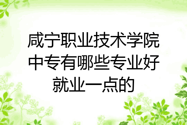 咸宁职业技术学院中专有哪些专业好就业一点的