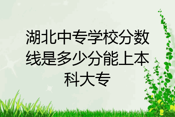 湖北中专学校分数线是多少分能上本科大专