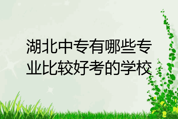 湖北中专有哪些专业比较好考的学校
