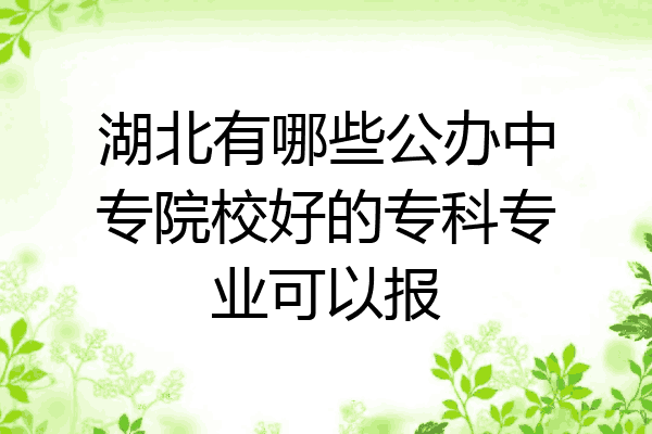 湖北有哪些公办中专院校好的专科专业可以报