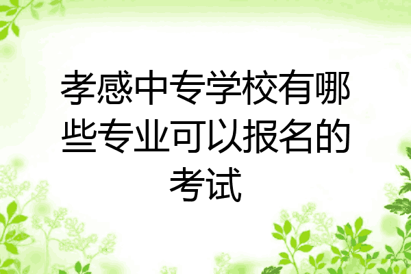 孝感中专学校有哪些专业可以报名的考试