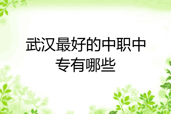 武汉最好的中职中专有哪些
