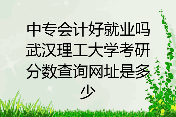 中专会计好就业吗武汉理工大学考研分数查询网址是多少