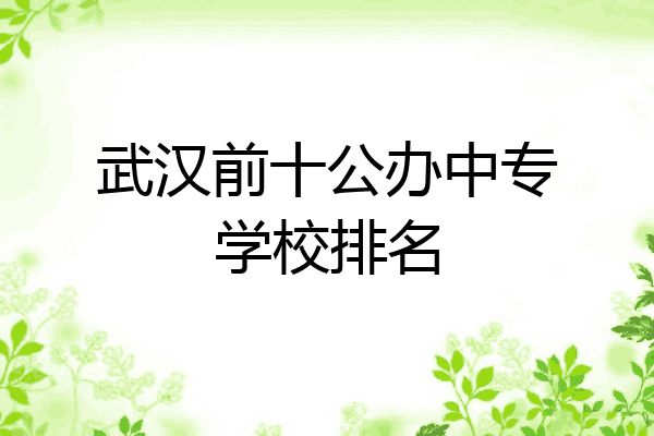 武汉前十公办中专学校排名